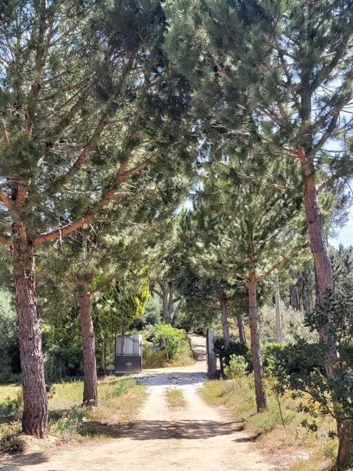 فيلا Casa Vale Nicolau أرغانيل المظهر الخارجي الصورة